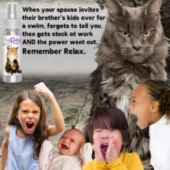 The Blissful Dog Relax Aromatherapy Cat Spray, 2.76-oz Bottle -Furry Friends 879894 PT2. AC SS1800 V1689279441