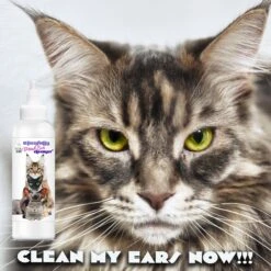 The Blissful Dog Simply Clean Cat Ear Cleaner, 4-oz Bottle -Furry Friends 879910 PT5. AC SS1800 V1689279432