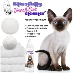 The Blissful Dog Simply Clean Cat Ear Cleaner, 4-oz Bottle -Furry Friends 879910 PT6. AC SS1800 V1689279436