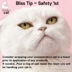 The Blissful Dog Simply Clean Cat Ear Cleaner, 4-oz Bottle -Furry Friends 879910 PT7. AC SS1800 V1689279436