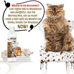 The Blissful Dog Dirty Smelly Cat Shampoo, 4-oz Bottle 12 The Blissful Dog Dirty Smelly Cat Shampoo, 4-oz Bottle -Furry Friends 879926 PT2. AC SS1800 V1689279431