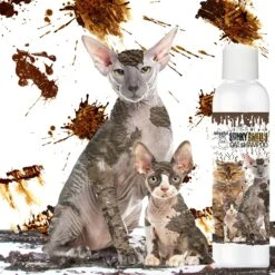 The Blissful Dog Dirty Smelly Cat Shampoo, 4-oz Bottle 17 The Blissful Dog Dirty Smelly Cat Shampoo, 4-oz Bottle -Furry Friends 879926 PT7. AC SS1800 V1689279417
