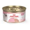 Royal Canin Feline Health Nutrition Kitten Loaf In Sauce Canned Cat Food -Furry Friends 88020 MAIN. AC SS1800 V1697732931