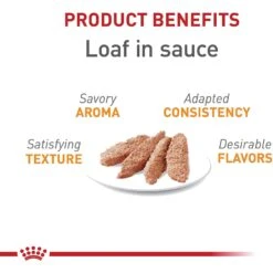 Royal Canin Feline Care Nutrition Hair & Skin Care Loaf In Sauce Canned Cat Food 13 Royal Canin Feline Care Nutrition Hair & Skin Care Loaf In Sauce Canned Cat Food -Furry Friends 88027 PT2. AC SS1800 V1697753768