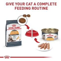Royal Canin Feline Care Nutrition Hair & Skin Care Loaf In Sauce Canned Cat Food 16 Royal Canin Feline Care Nutrition Hair & Skin Care Loaf In Sauce Canned Cat Food -Furry Friends 88027 PT5. AC SS1800 V1697732910