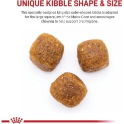 Royal Canin Feline Breed Nutrition Maine Coon Adult Dry Cat Food -Furry Friends 88064 PT3. AC SS1800 V1696345013