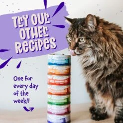 Earthborn Holistic Chicken Fricatssee Grain-Free Natural Adult Canned Cat Food 14 Earthborn Holistic Chicken Fricatssee Grain-Free Natural Adult Canned Cat Food -Furry Friends 88110 PT7. AC SS1800 V1684524211