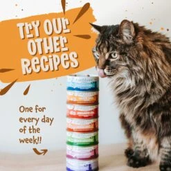 Earthborn Holistic Chicken Jumble With Liver Grain-Free Natural Canned Cat & Kitten Food -Furry Friends 88113 PT7. AC SS1800 V1684524199