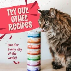Earthborn Holistic Ranch House Stew Grain-Free Natural Canned Cat & Kitten Food -Furry Friends 88116 PT7. AC SS1800 V1684524260