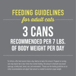 Tiki Cat After Dark Variety Pack Grain-Free Wet Cat Food, 2.8-oz Tray, Case Of 18 -Furry Friends 883534 PT4. AC SS1800 V1690562127