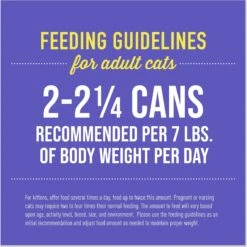 Tiki Cat Fish Favorites Pate Grain-Free Wet Cat Food, 2.8-oz Can, Case Of 24 17 Tiki Cat Fish Favorites Pate Grain-Free Wet Cat Food, 2.8-oz Can, Case Of 24 -Furry Friends 883590 PT6. AC SS1800 V1690570664
