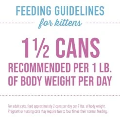 Tiki Cat Baby Chicken, Duck, & Duck Liver Shreds Grain-Free Wet Cat Food, 2.4-oz Can, Case Of 12 15 Tiki Cat Baby Chicken, Duck, & Duck Liver Shreds Grain-Free Wet Cat Food, 2.4-oz Can, Case Of 12 -Furry Friends 883638 PT5. AC SS1800 V1690567214