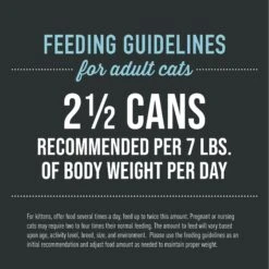 Tiki Cat After Dark Pate+ Chicken & Quail Egg Grain-Free Wet Cat Food 15 Tiki Cat After Dark Pate+ Chicken & Quail Egg Grain-Free Wet Cat Food -Furry Friends 883822 PT5. AC SS1800 V1690488439