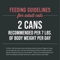 Tiki Cat After Dark Pate+ Chicken & Beef Grain-Free Wet Cat Food -Furry Friends 883846 PT5. AC SS1800 V1690492473