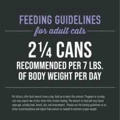 Tiki Cat After Dark Pate+ Chicken & Duck Grain-Free Wet Cat Food 15 Tiki Cat After Dark Pate+ Chicken & Duck Grain-Free Wet Cat Food -Furry Friends 883870 PT5. AC SS1800 V1688152293
