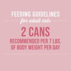 Tiki Cat Silver Chicken & Chicken Liver Mousse & Shreds Grain-Free Wet Cat Food, 2.4-oz Can, Case Of 12 -Furry Friends 883894 PT6. AC SS1800 V1690562162