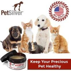PetSilver Chelated Silver With Hemp Oil Wound Gel For Dogs & Cats, 4-oz Jar -Furry Friends 887566 PT3. AC SS1800 V1686834862