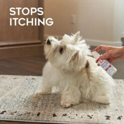 Dogswell Remedy+Recovery Hydrocortisone Lotion For Dogs & Cats, 4-oz Bottle -Furry Friends 887614 PT4. AC SS1800 V1692801761