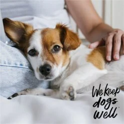 Dogswell Remedy+Recovery Hydrocortisone Lotion For Dogs & Cats, 4-oz Bottle -Furry Friends 887614 PT5. AC SS1800 V1692798109