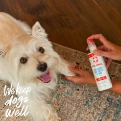 Dogswell Remedy+Recovery Medicated Antiseptic Spray For Dogs & Cats, 4-oz Bottle -Furry Friends 887646 PT4. AC SS1800 V1692798826