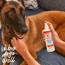 Dogswell Remedy+Recovery Medicated Hot Spot Spray For Dogs & Cats 13 Dogswell Remedy+Recovery Medicated Hot Spot Spray For Dogs & Cats -Furry Friends 887662 PT5. AC SS1800 V1692798109