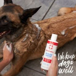 Dogswell Remedy+Recovery Medicated Shampoo For Dogs & Cats, 8-oz Bottle -Furry Friends 887686 PT4. AC SS1800 V1692798827