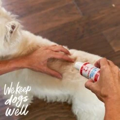 Dogswell Remedy+Recovery Wound & Infection Lotion For Dogs & Cats, 4-oz Bottle -Furry Friends 887702 PT4. AC SS1800 V1692801760