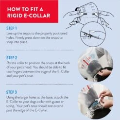 Dogswell Remedy+Recovery Rigid E-Collar For Dogs & Cats, Color Varies -Furry Friends 887742 PT3. AC SS1800 V1692801816