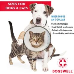 Dogswell Remedy+Recovery Rigid E-Collar For Dogs & Cats, Color Varies -Furry Friends 887742 PT4. AC SS1800 V1692798826