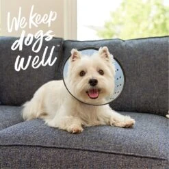 Dogswell Remedy+Recovery Rigid E-Collar For Dogs & Cats, Color Varies -Furry Friends 887742 PT5. AC SS1800 V1692798053