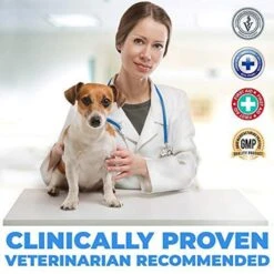 Forticept Blue Butter Hot Spot Cat & Dog Wound & Skin Care Ointment, 2-oz Tube -Furry Friends 887934 PT3. AC SS1800 V1688567934