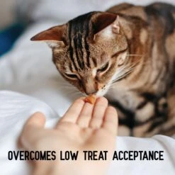 ActivPhy Hip & Joint Mobility Collar For Cats -Furry Friends 889582 PT3. AC SS1800 V1687376171