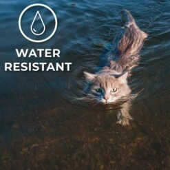 ActivPhy Hip & Joint Mobility Collar For Cats -Furry Friends 889582 PT5. AC SS1800 V1687376230