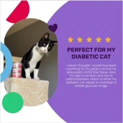 I And Love And You Beef Right Meow Pate Grain-Free Canned Cat Food 14 I And Love And You Beef Right Meow Pate Grain-Free Canned Cat Food -Furry Friends 89305 PT3. AC SS1800 V1692391041