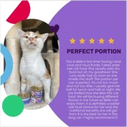 I And Love And You Purrky Turkey Pate Grain-Free Canned Cat Food -Furry Friends 89309 PT3. AC SS1800 V1692388750
