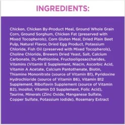 Iams ProActive Health Kitten Dry Cat Food & Temptations Salmon & Dairy Flavor Crunchy & Soft Kitten Treats -Furry Friends 894270 PT3. AC SS1800 V1687200664