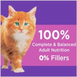 Iams ProActive Health Kitten Dry Cat Food & Temptations Salmon & Dairy Flavor Crunchy & Soft Kitten Treats -Furry Friends 894270 PT4. AC SS1800 V1687200652