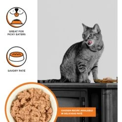 BIXBI Rawbble Chicken Pate Wet Food For Cats, 2.75-oz Can, Case Of 24 -Furry Friends 895278 PT1. AC SS1800 V1689014654