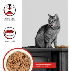 BIXBI Rawbble Beef Pate Wet Food For Cats, 2.75-oz Can, Case Of 24 -Furry Friends 895294 PT1. AC SS1800 V1689014540