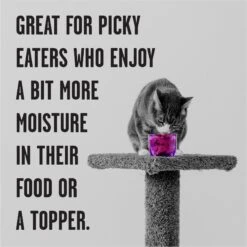 BIXBI Rawbble Tuna Pate Wet Food For Cats, 5-oz Can, Case Of 24 -Furry Friends 895438 PT3. AC SS1800 V1689017846