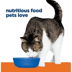 Hill's Prescription Diet C/d Multicare + Metabolic Chicken Flavor Dry Cat Food -Furry Friends 89565 PT6. AC SS1800 V1668551351