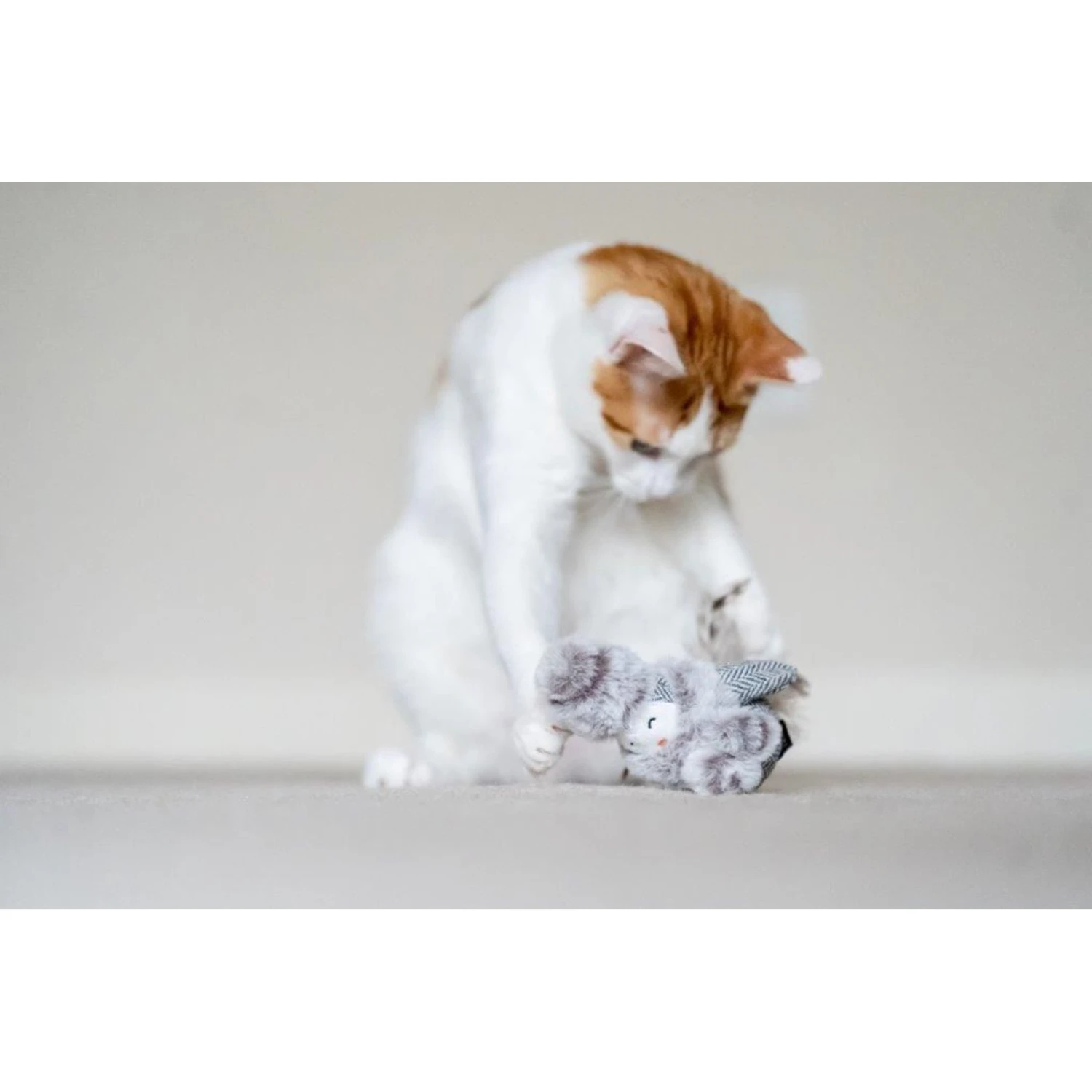 P.L.A.Y. Pet Lifestyle And You Feline Frenzy Blissful Birdie Plush Squeaky Cat Toy 6 P.L.A.Y. Pet Lifestyle And You Feline Frenzy Blissful Birdie Plush Squeaky Cat Toy - Image 4