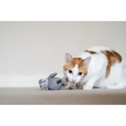 P.L.A.Y. Pet Lifestyle And You Feline Frenzy Blissful Birdie Plush Squeaky Cat Toy 11 P.L.A.Y. Pet Lifestyle And You Feline Frenzy Blissful Birdie Plush Squeaky Cat Toy -Furry Friends 897126 PT4. AC SS1800 V1689950150