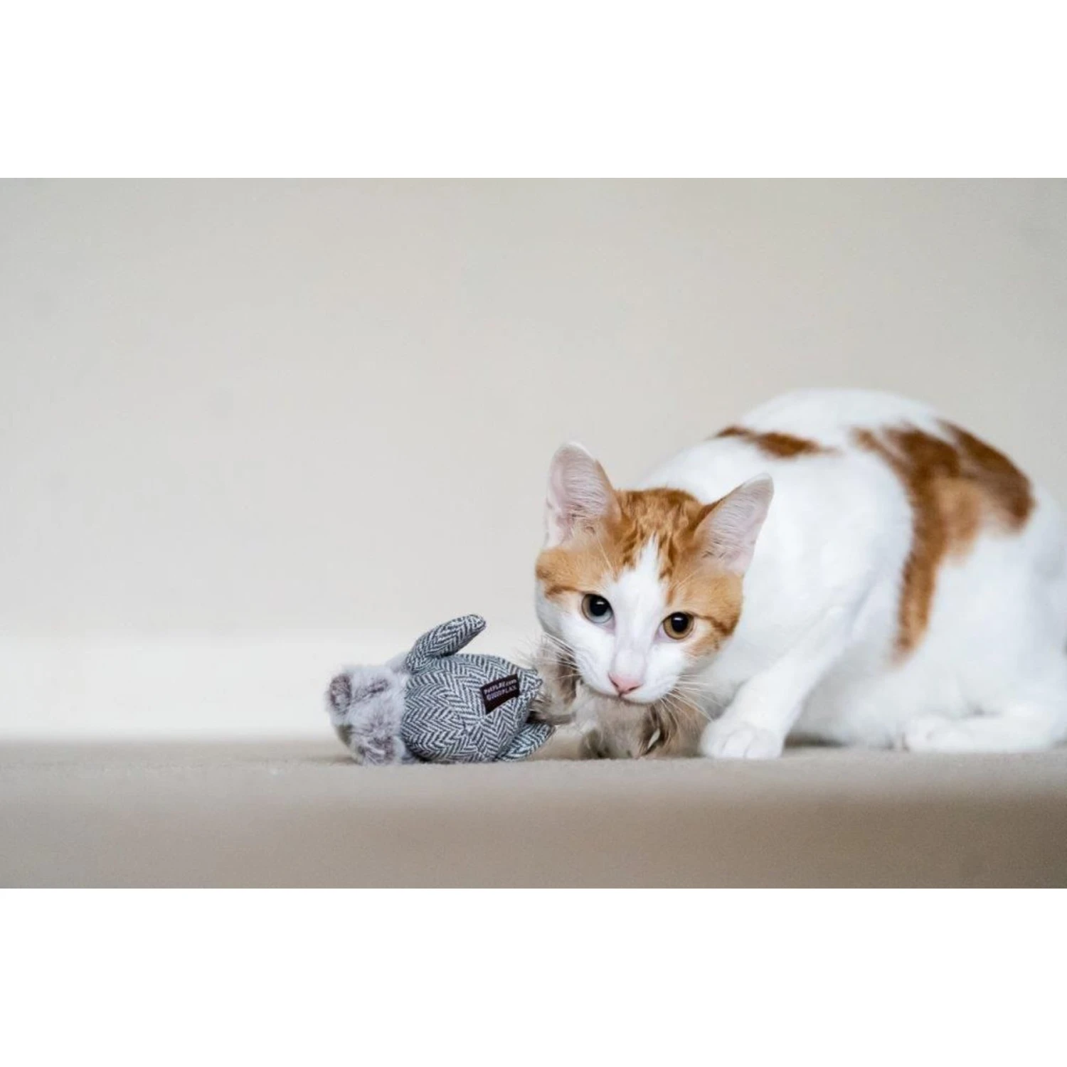 P.L.A.Y. Pet Lifestyle And You Feline Frenzy Blissful Birdie Plush Squeaky Cat Toy 7 P.L.A.Y. Pet Lifestyle And You Feline Frenzy Blissful Birdie Plush Squeaky Cat Toy - Image 5