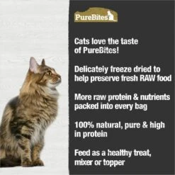 PureBites Chicken Breast & Duck Freeze-Dried Raw Cat Treats 13 PureBites Chicken Breast & Duck Freeze-Dried Raw Cat Treats -Furry Friends 89717 PT4. AC SS1800 V1677600976