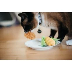 P.L.A.Y. Pet Lifestyle And You Feline Frenzy Purrfect Picnic Plush Squeaky Cat Toy, 2 Count -Furry Friends 897334 PT3. AC SS1800 V1689960578