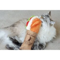 P.L.A.Y. Pet Lifestyle And You Feline Frenzy Tuna Baguette Plush Squeaky Cat Toy With Catnip 14 P.L.A.Y. Pet Lifestyle And You Feline Frenzy Tuna Baguette Plush Squeaky Cat Toy With Catnip -Furry Friends 897350 PT5. AC SS1800 V1689800812