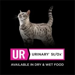 Purina Pro Plan Veterinary Diets UR Urinary St/Ox Savory Selects Turkey & Giblets In Sauce Wet Cat Food -Furry Friends 89774 PT5. AC SS1800 V1700159517