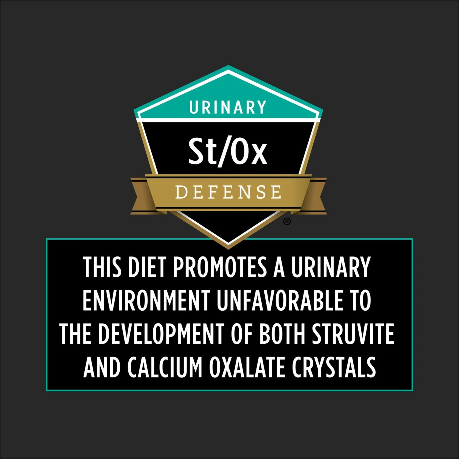 Purina Pro Plan Veterinary Diets EN Gastroenteric Naturals Dry Cat Food 7 Purina Pro Plan Veterinary Diets EN Gastroenteric Naturals Dry Cat Food - Image 5