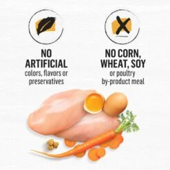 Purina Beyond White Meat Chicken & Egg Recipe Grain-Free Natural Dry Cat Food -Furry Friends 89926 PT8. AC SS1800 V1703623568